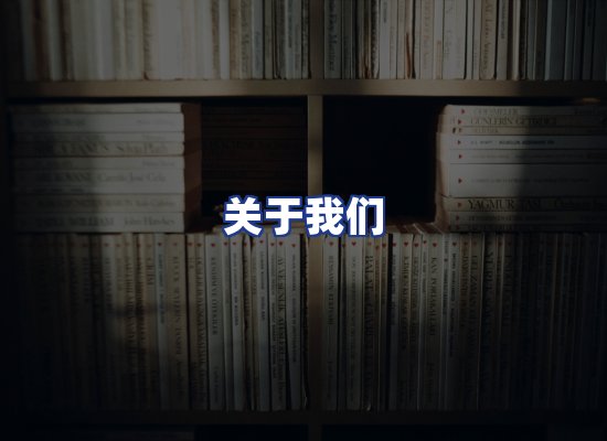 专业团队